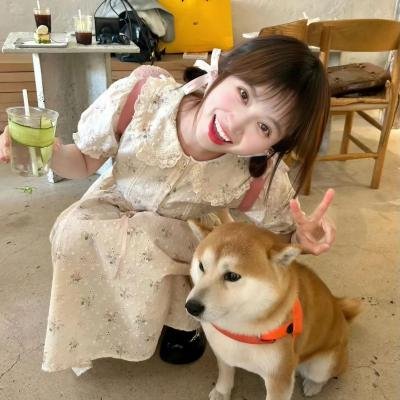 咒术回战第二季
