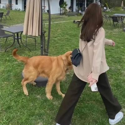 黑牛与白蛇
